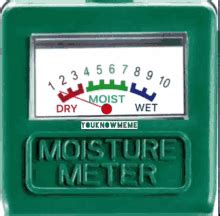 moisture meter meme|Moist Meme GIFs .